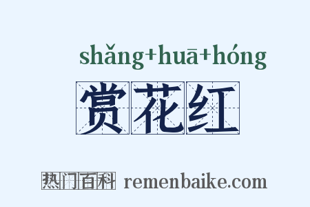 赏花红是什么意思的图片